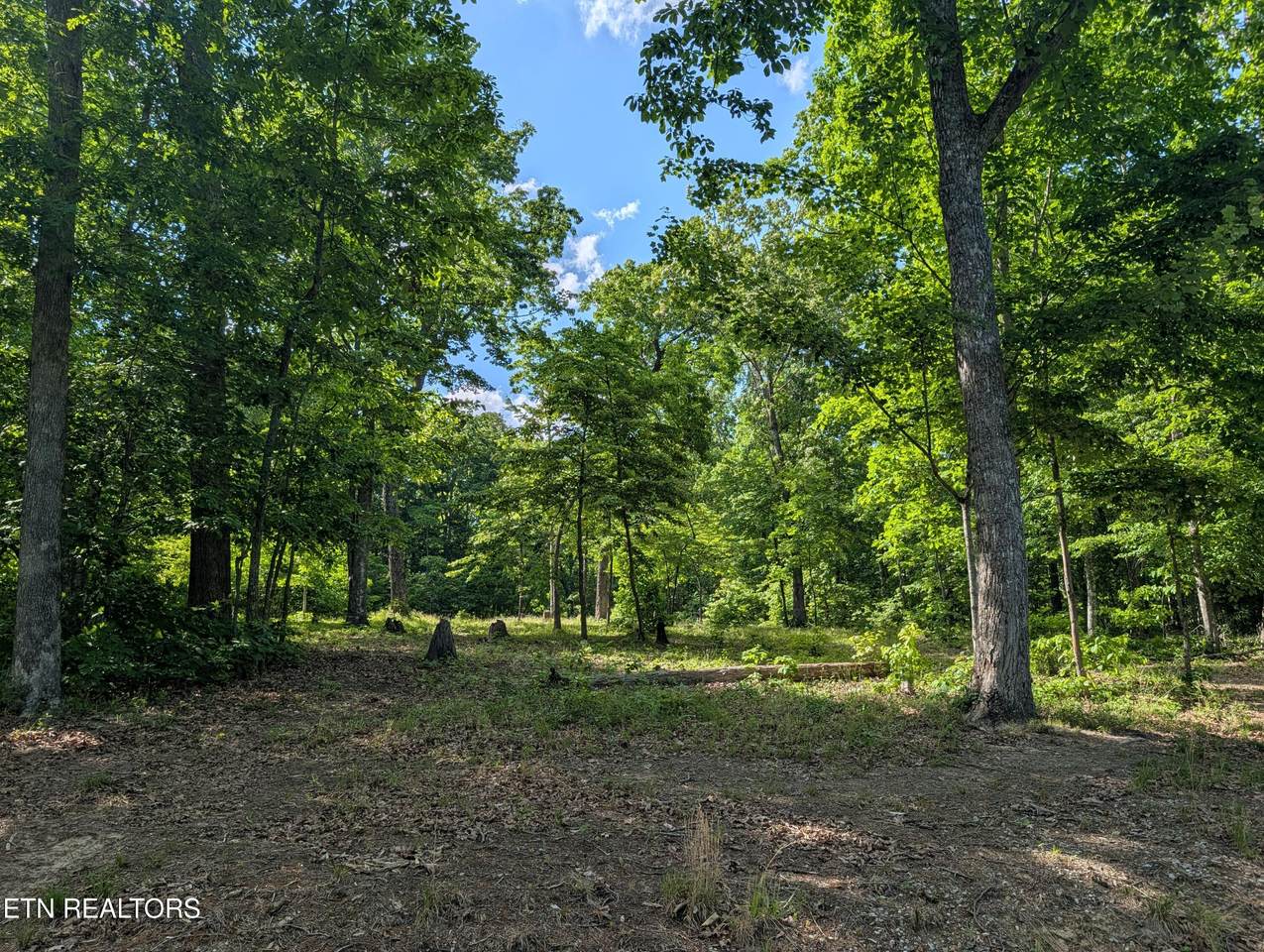 Lot 94/95 Red Oak Lane - Photo 1