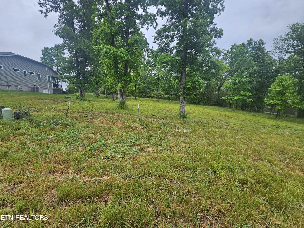  Holly Tree Drive - Photo 1