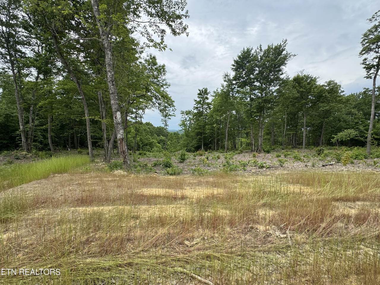  Sheep Ranch Rd - Photo 1