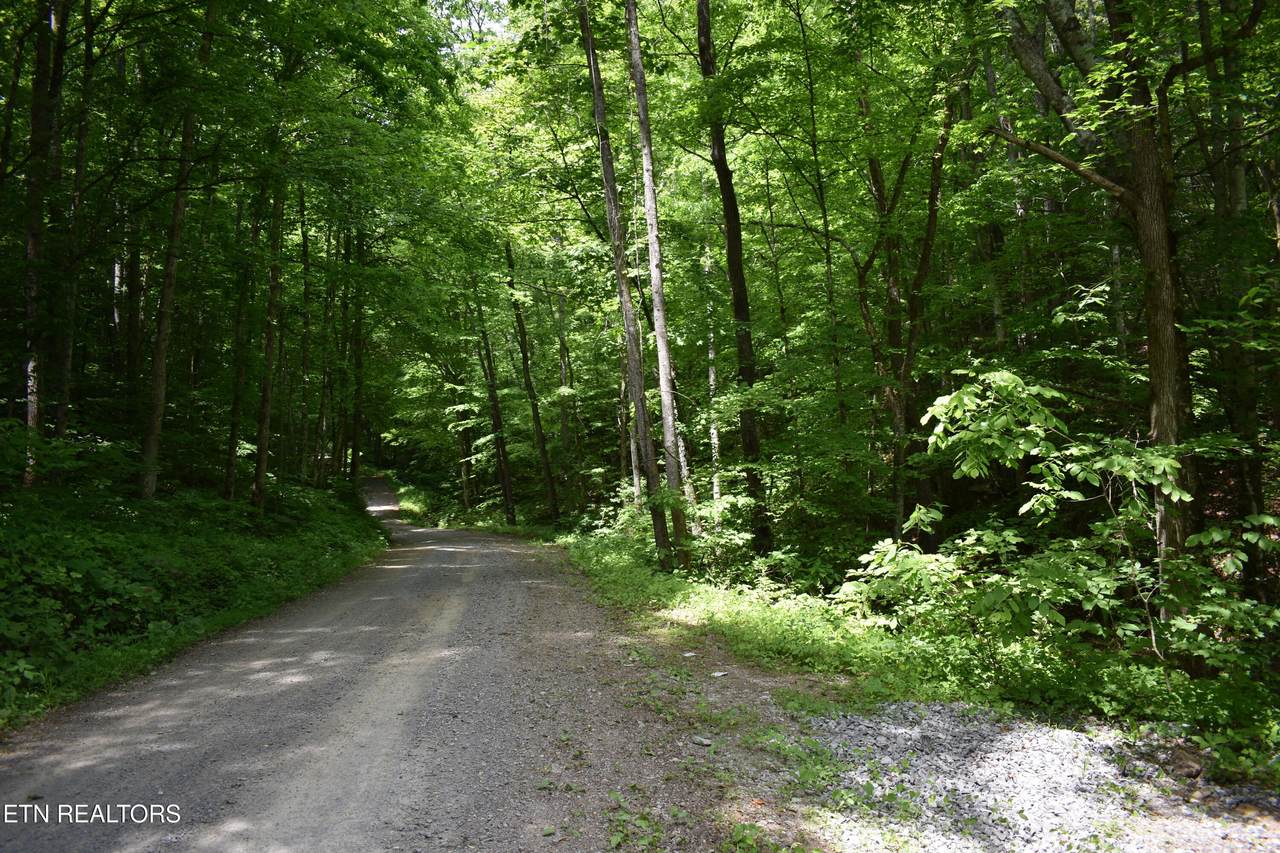  Shady Valley Rd - Photo 1