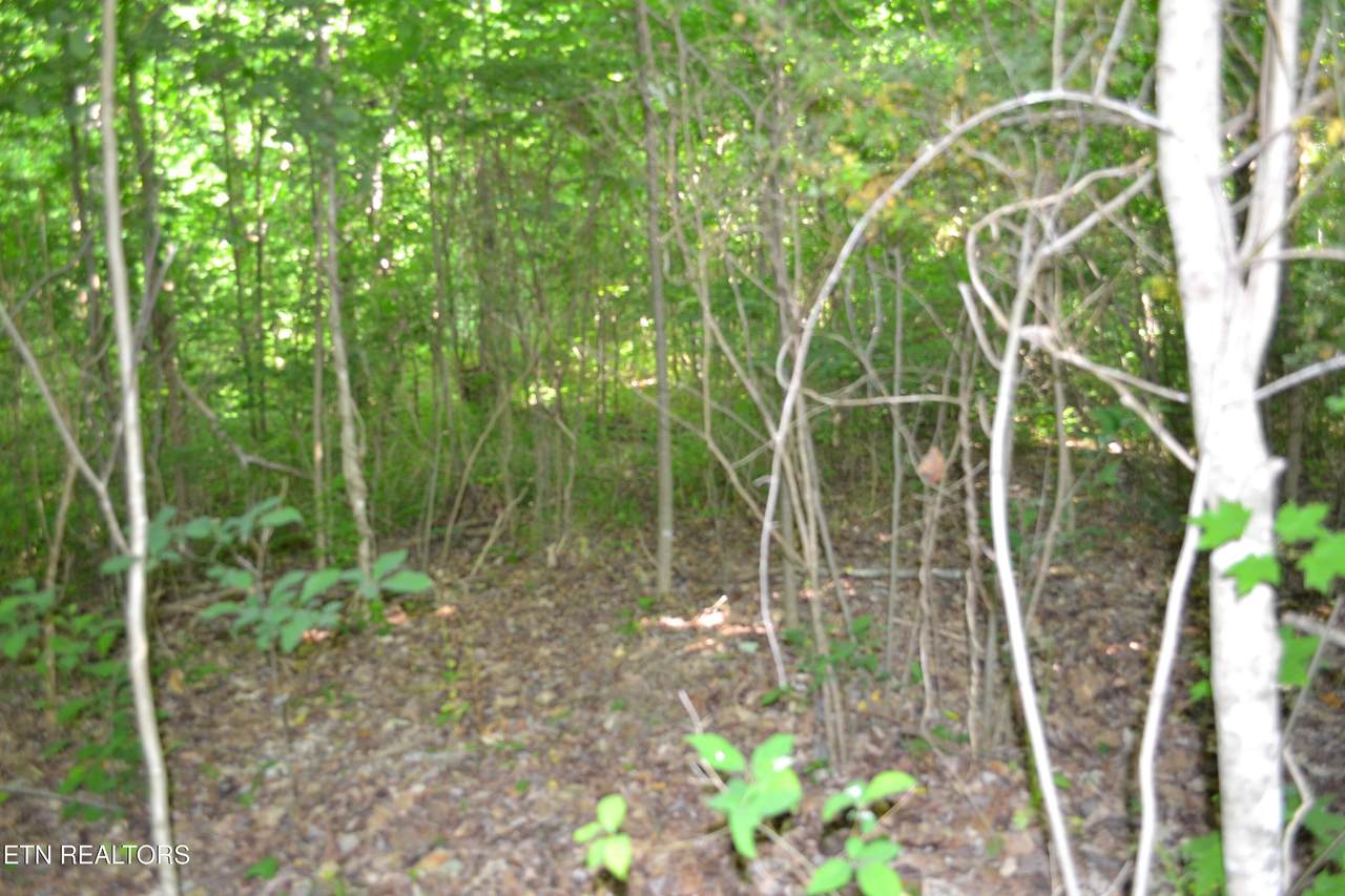 5ac Dynamite Lane - Photo 1
