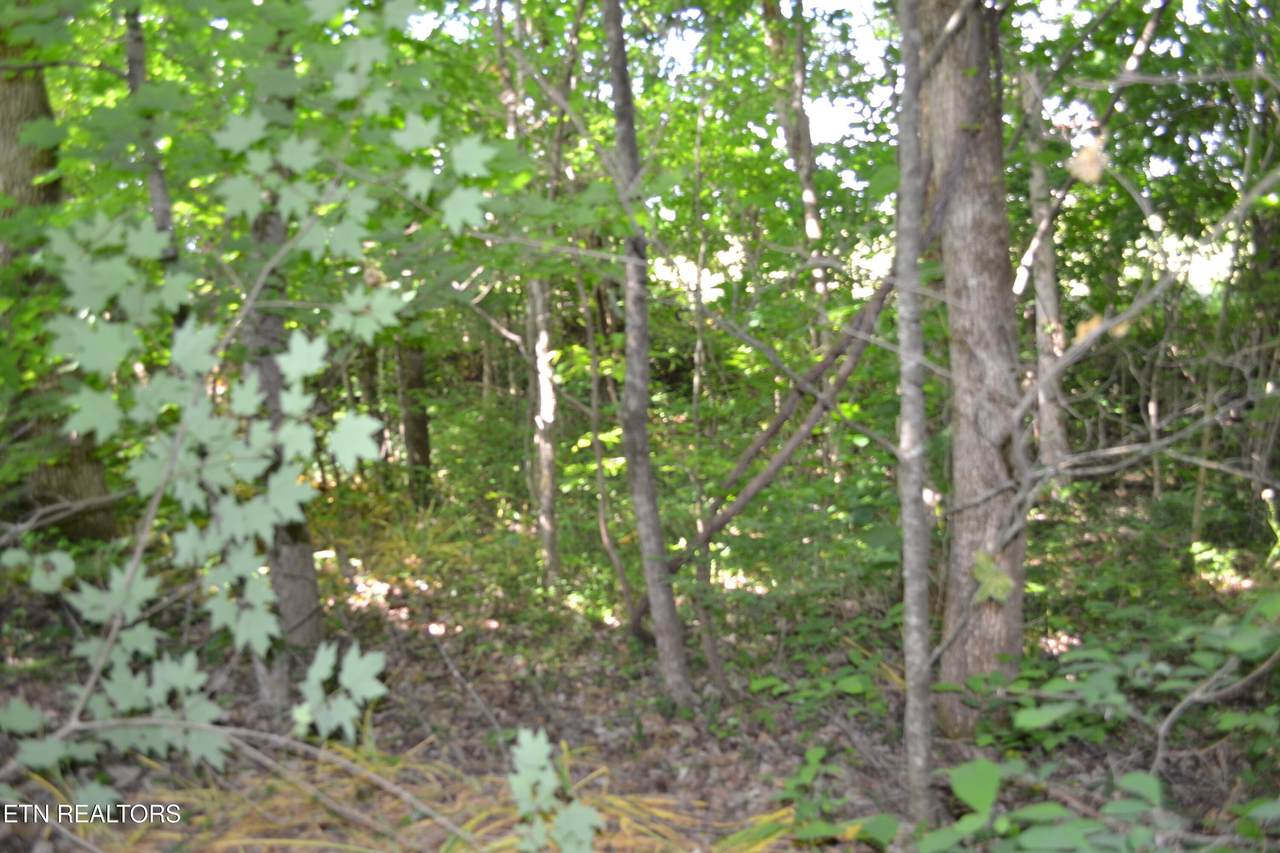 https://bt-photos.global.ssl.fastly.net/kaar/1280_boomver_1_1341991-2.jpg