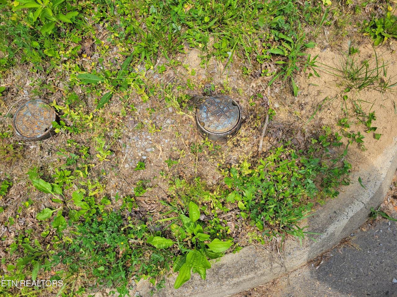 Lot 11 Peace Lane - Photo 1