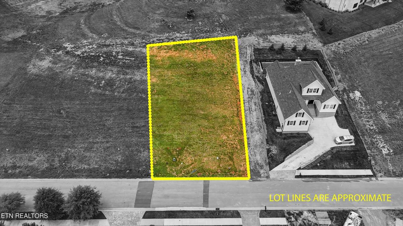 2033 Chestnut Lane - Photo 1