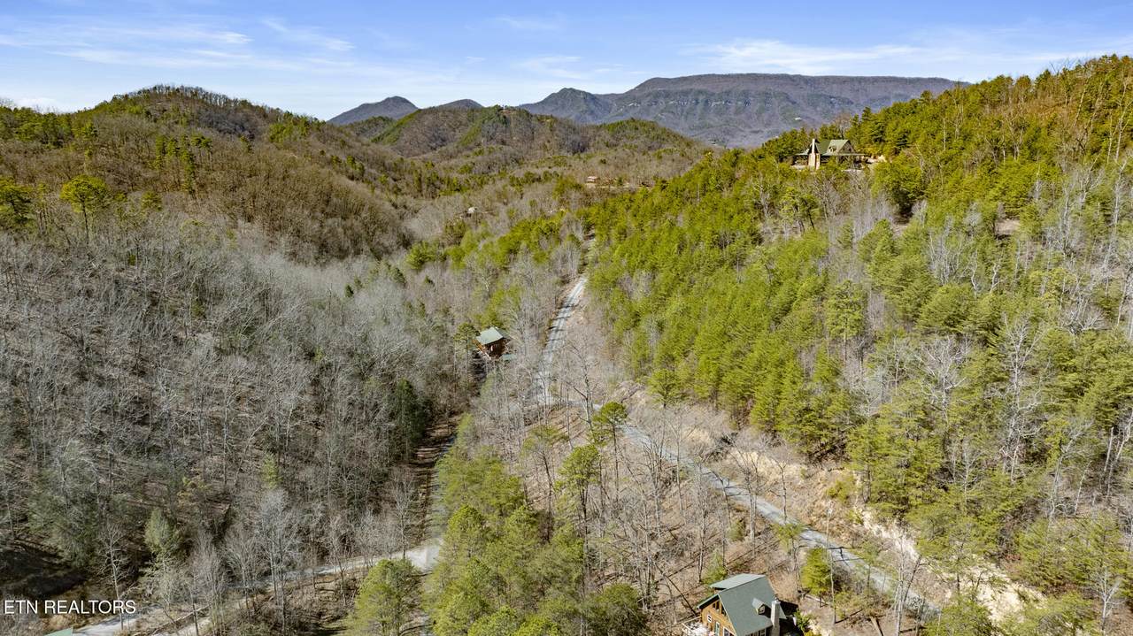272 Cove Hollow Rd - Photo 1