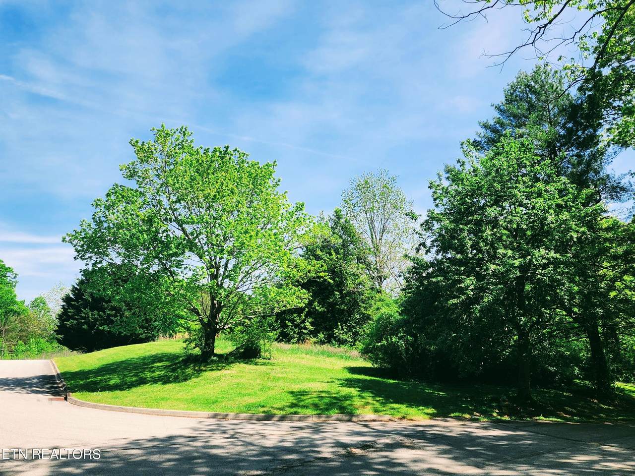  Melea Lane - Photo 1