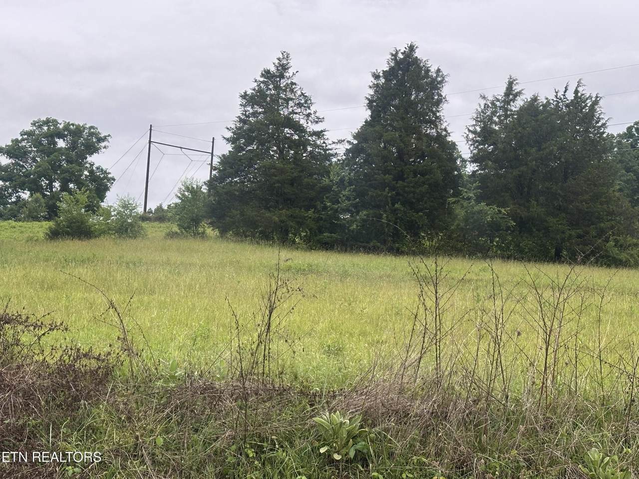  Blackwater Rd - Photo 1