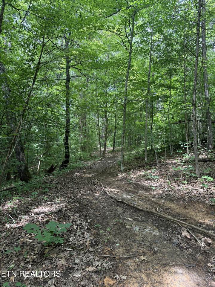 0 Thorngrove Pike - Photo 1