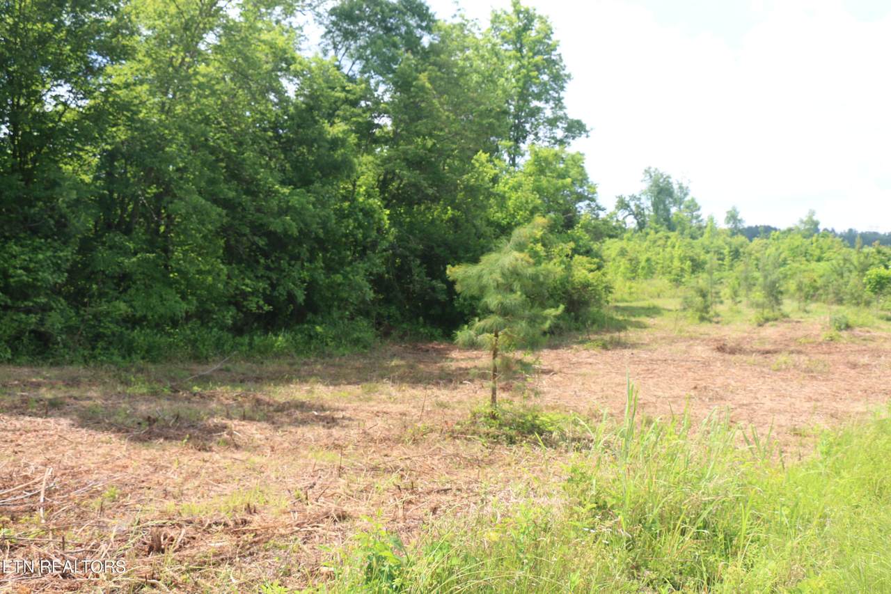 Tract 1 Nopone Valley Rd - Photo 1