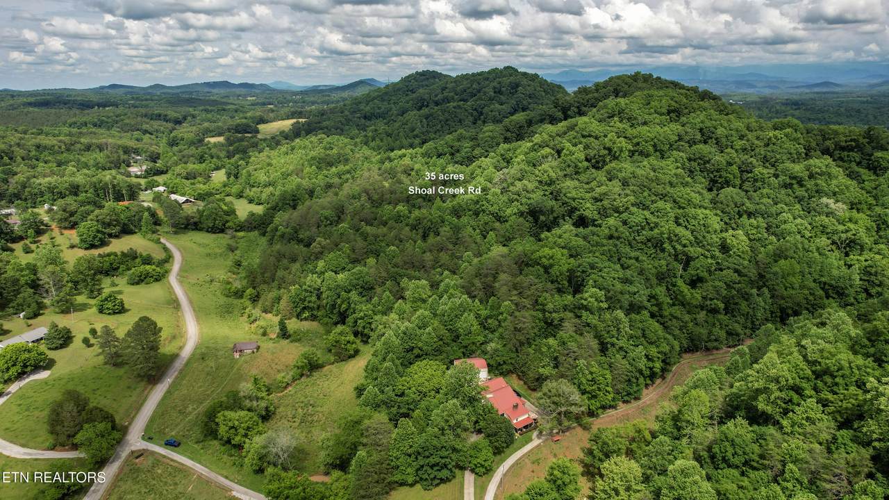  Shoal Creek Rd - Photo 1