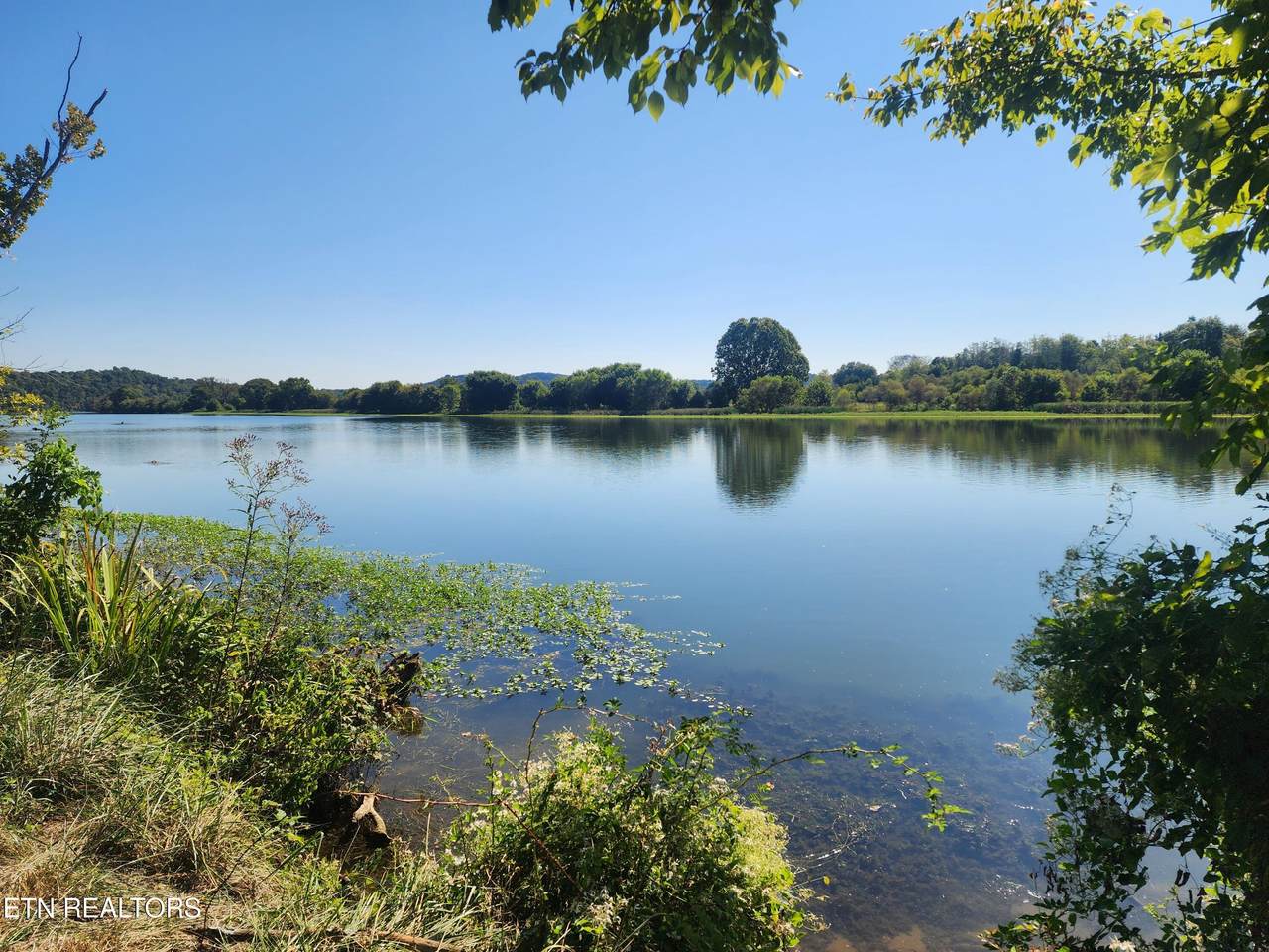  Old Stage Rd - Photo 1