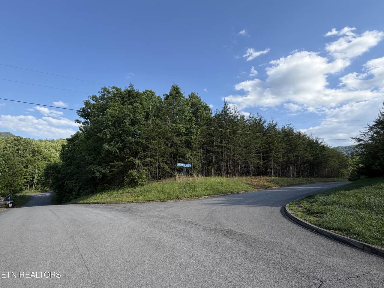 Lot #36 Burning Oaks Drive Drive - Photo 1