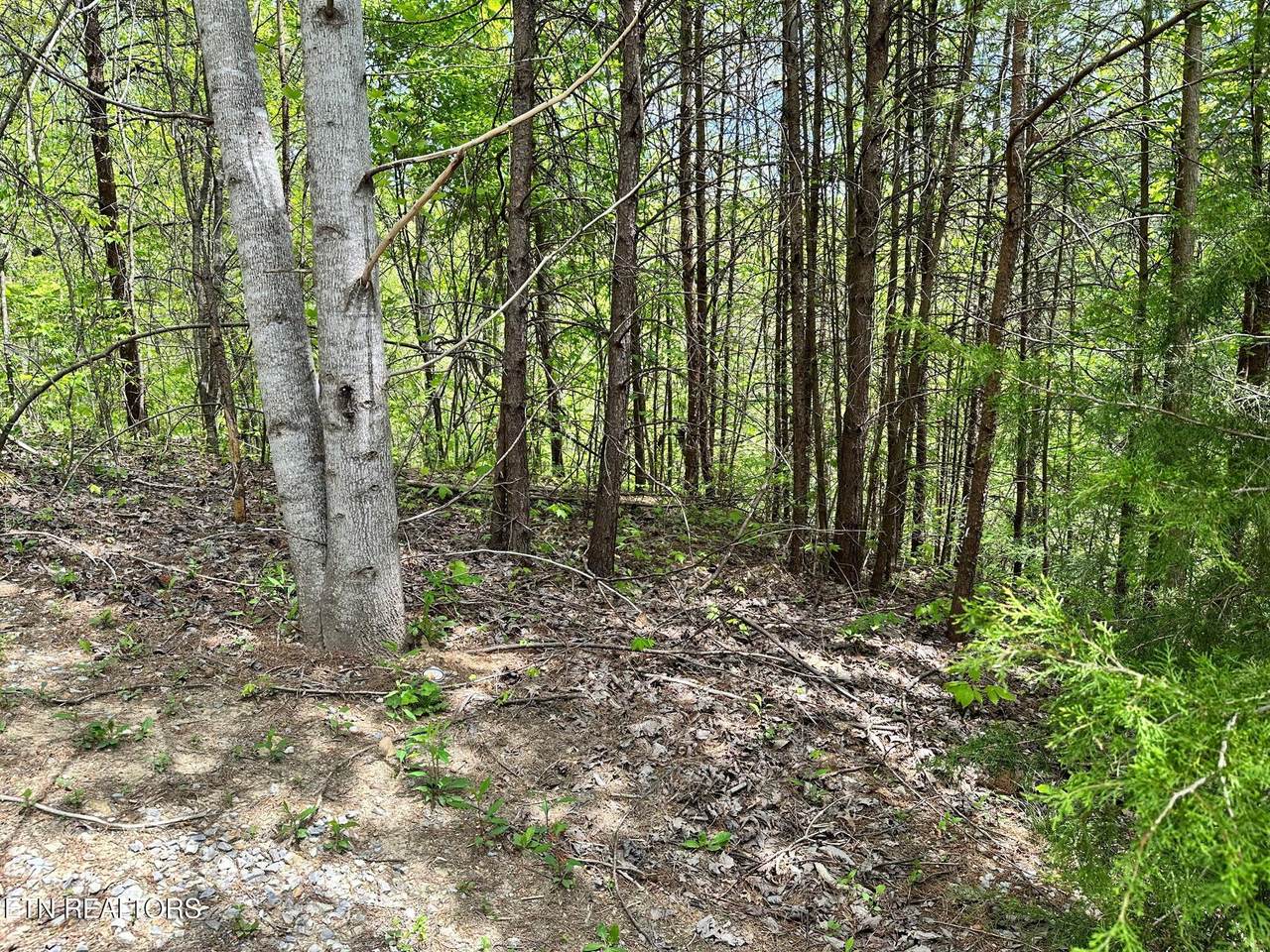 1430 Mountain Dreams Way - Photo 1