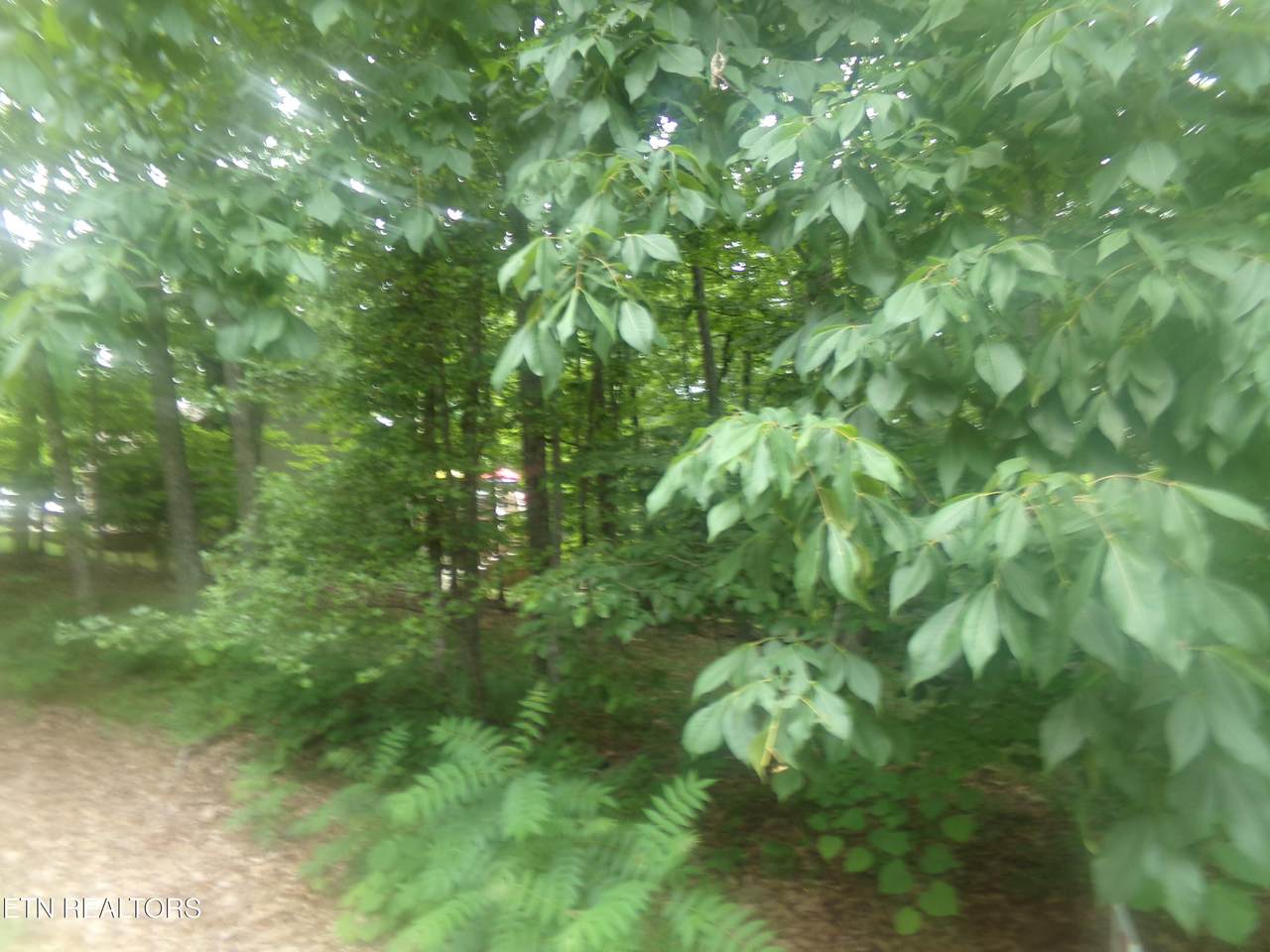 https://bt-photos.global.ssl.fastly.net/kaar/1280_boomver_1_1342686-2.jpg