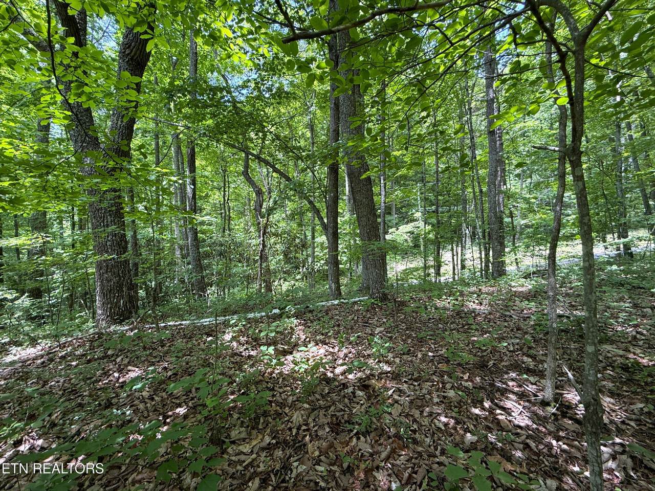 https://bt-photos.global.ssl.fastly.net/kaar/1280_boomver_1_1342740-2.jpg