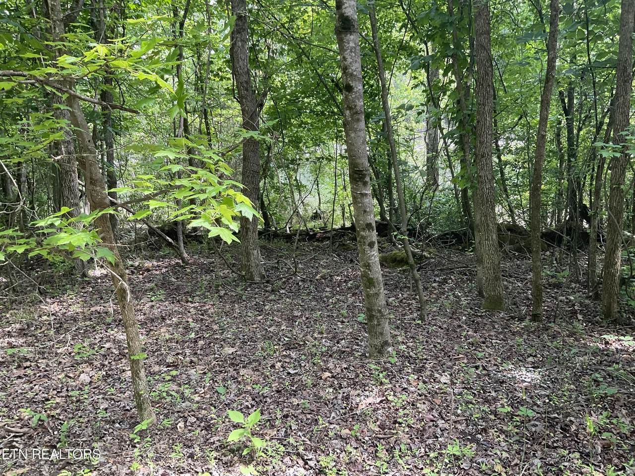 https://bt-photos.global.ssl.fastly.net/kaar/1280_boomver_1_1342770-2.jpg