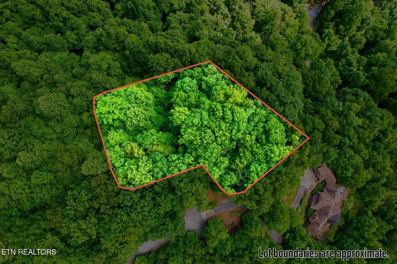  Woodfern Way - Photo 1