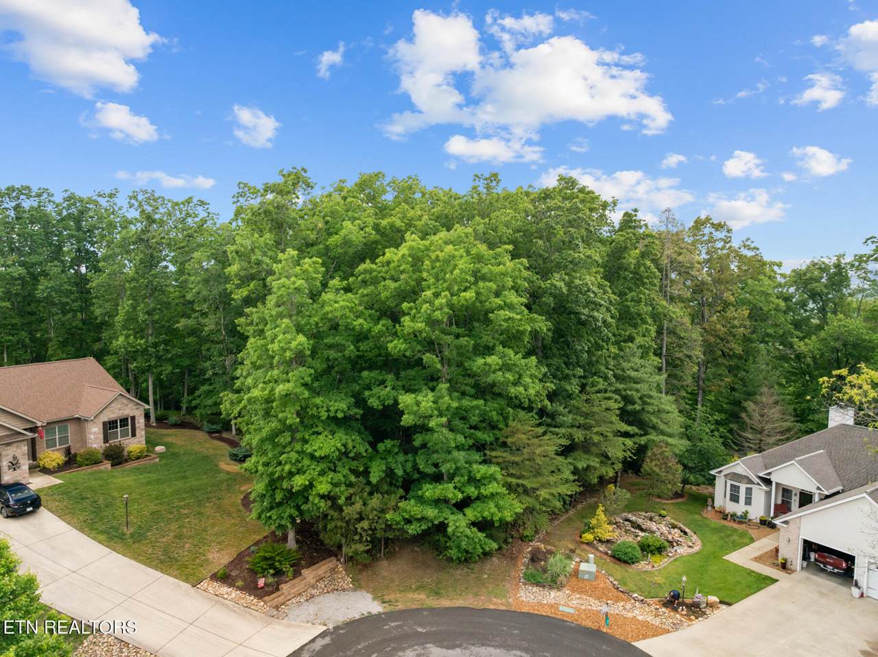 33 Camden Court - Photo 1