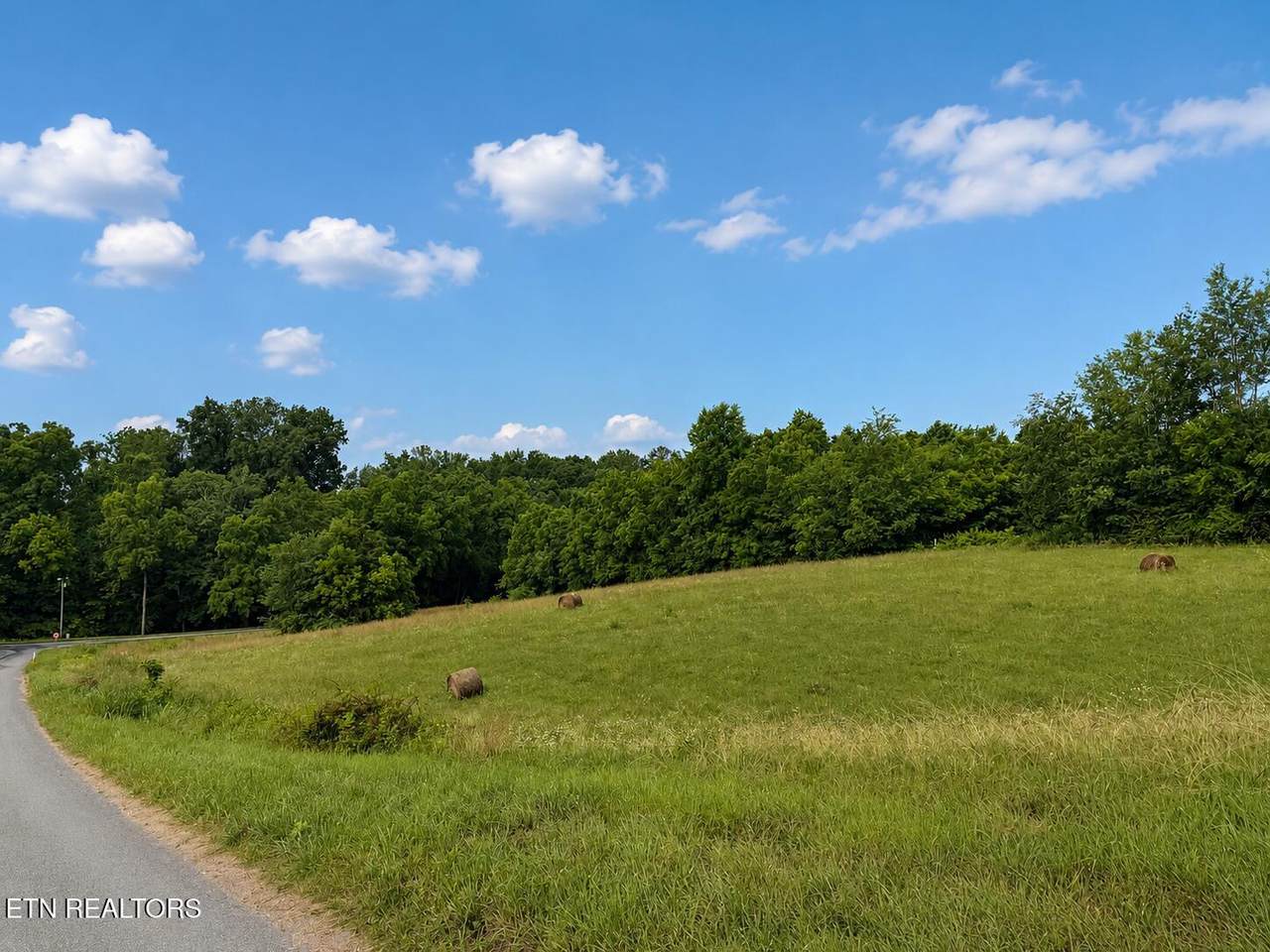  Lot 20 Autumn Woods Tr - Photo 1