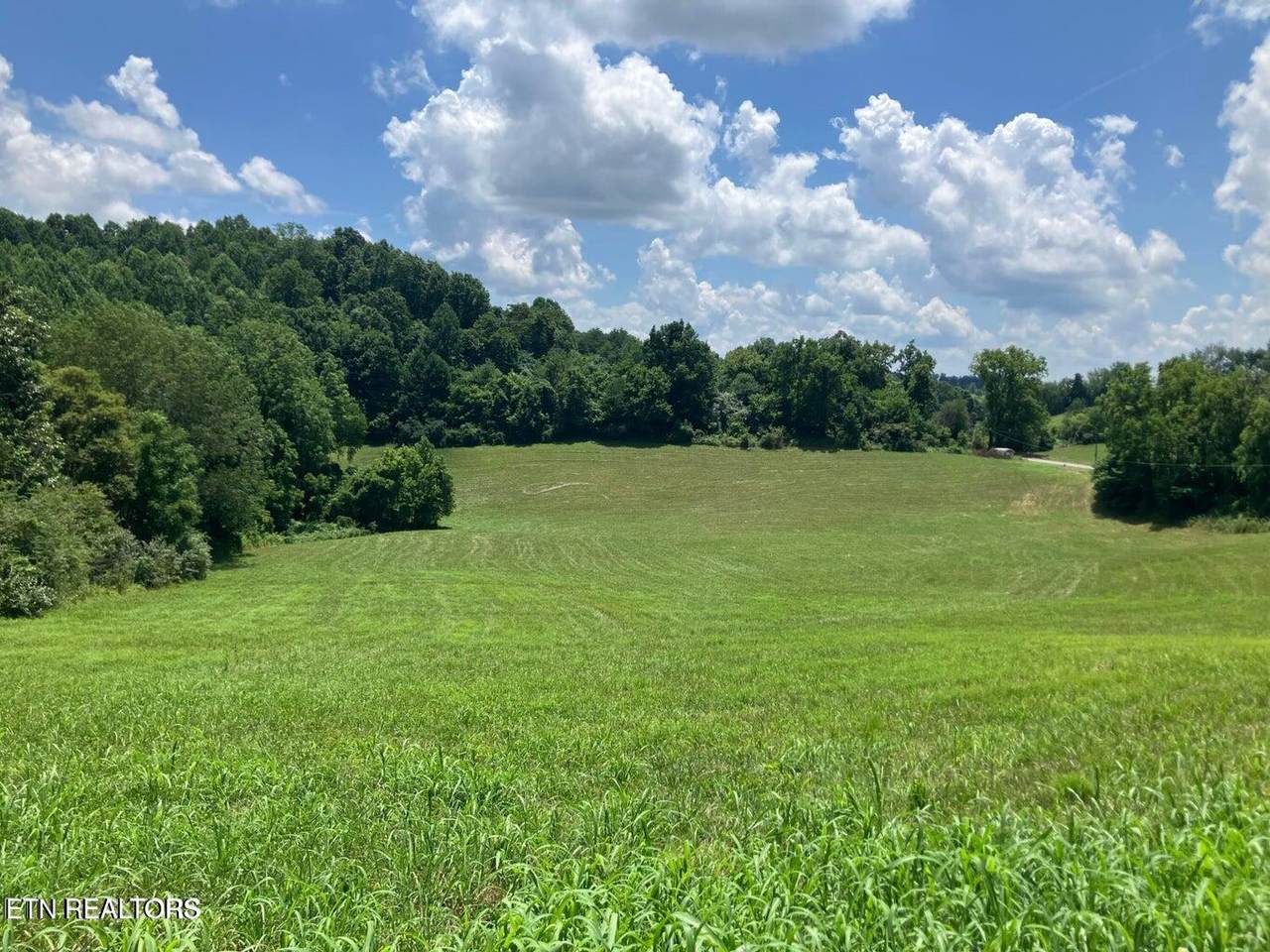 1502 Harmon Rd - Photo 1