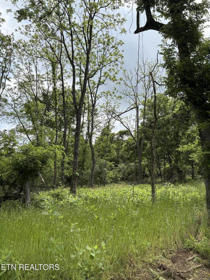 0 Grubb Rd - Photo 1