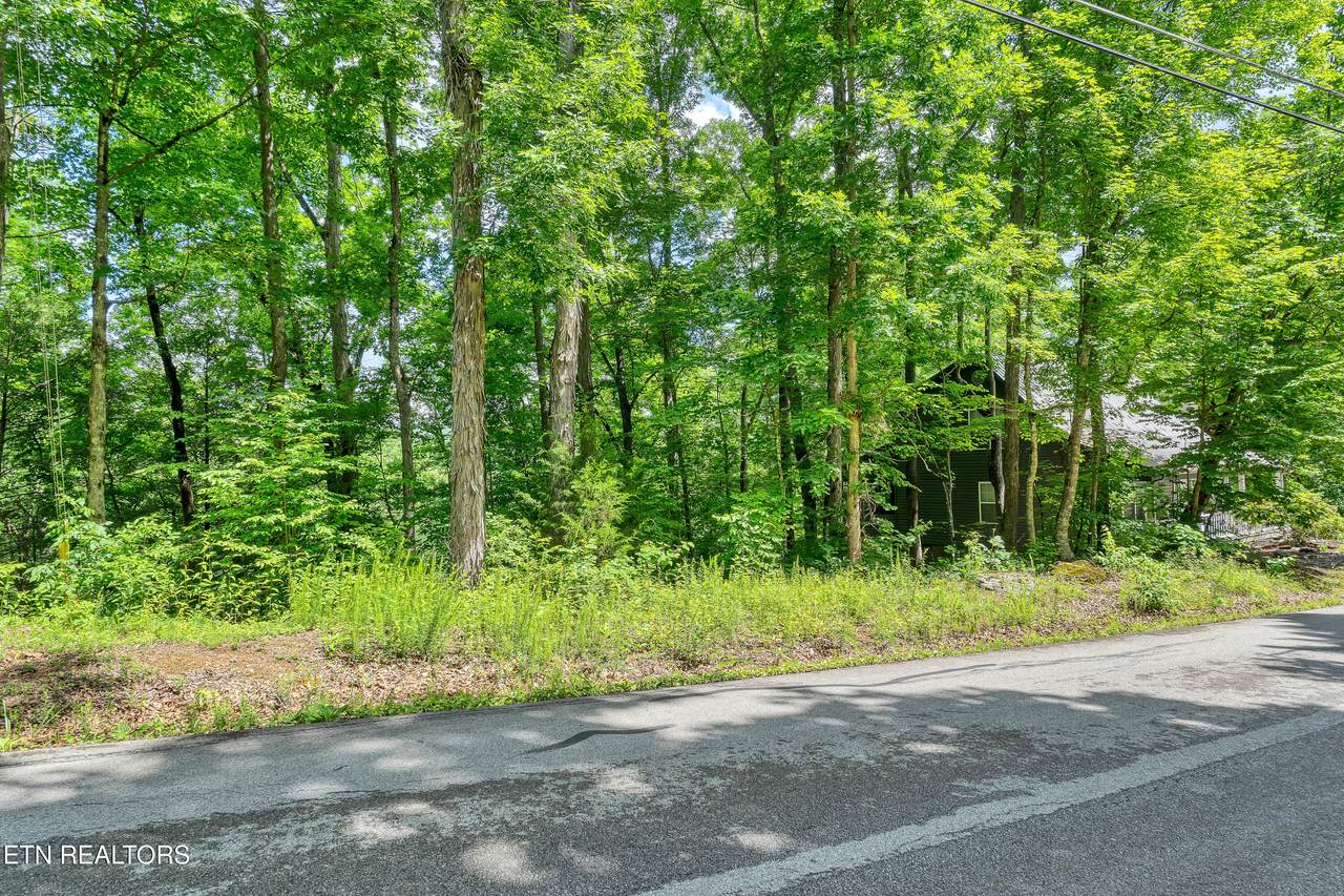 424 Laurel Rd - Photo 1
