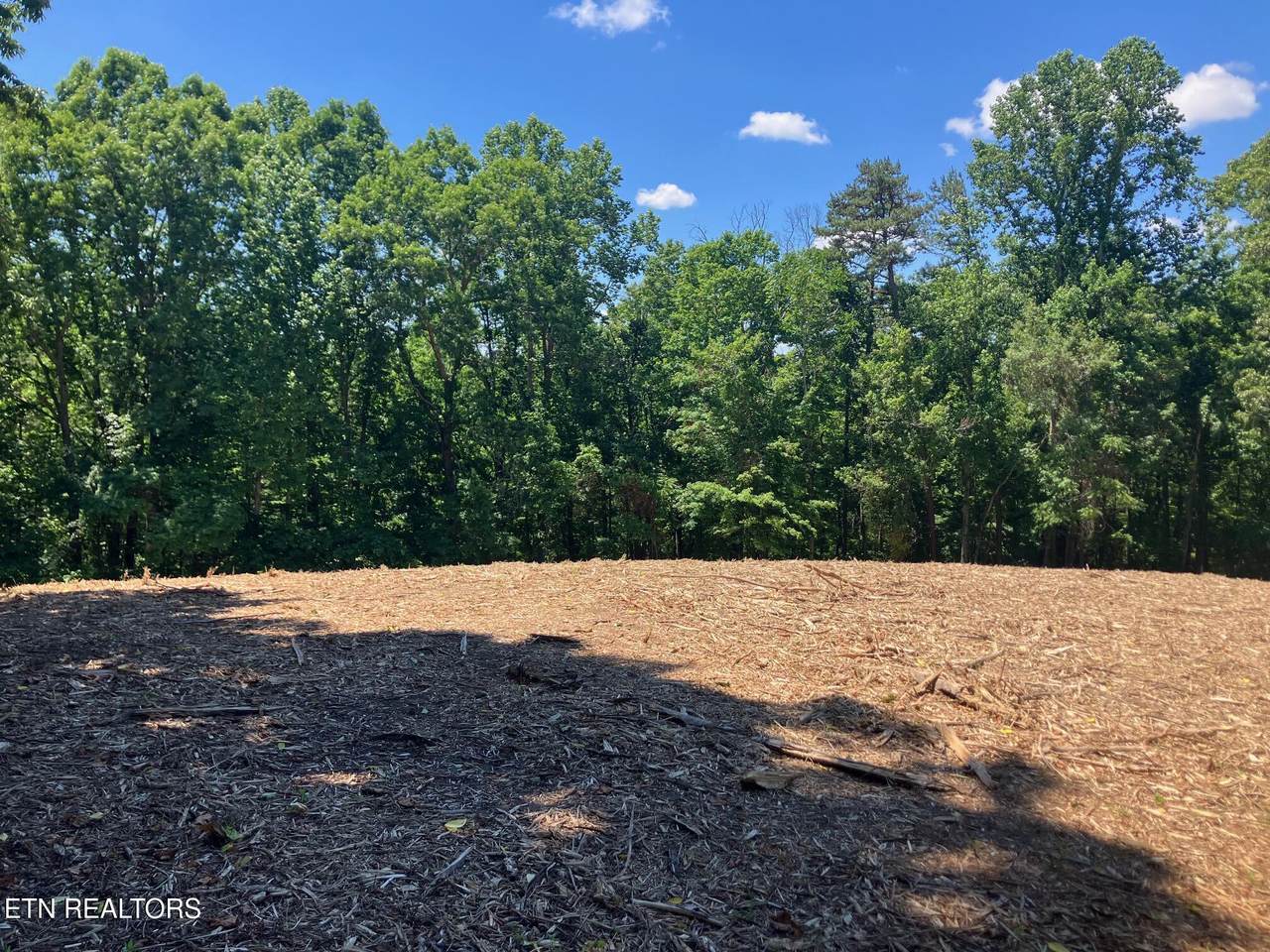 Tract 2 Graves Hollow Rd - Photo 1