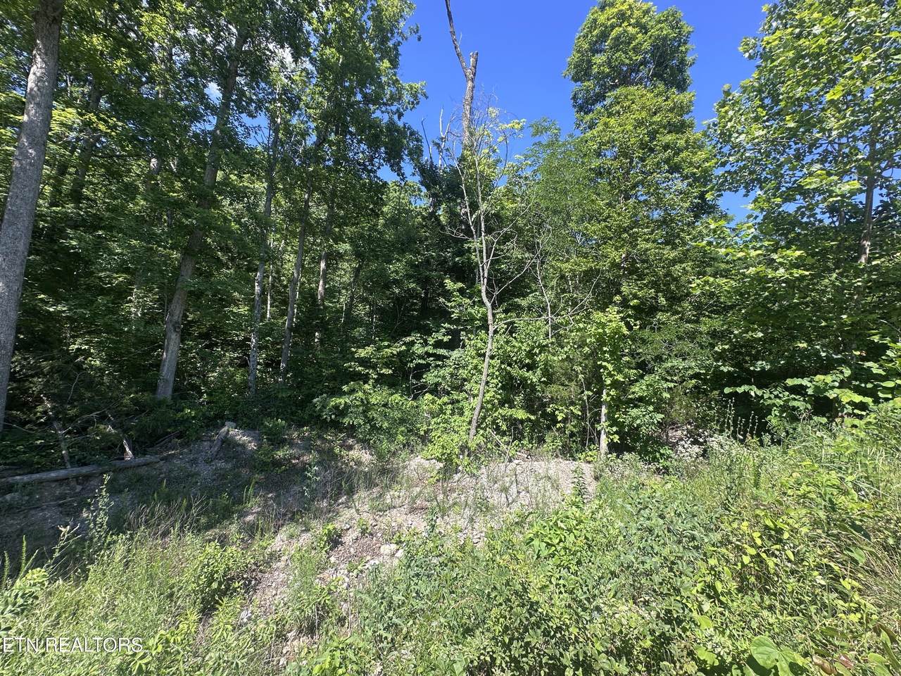 1020 Tomahawk Rd - Photo 1