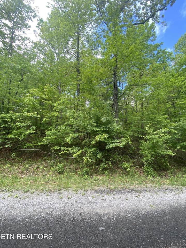 610 Catawba Lane - Photo 1