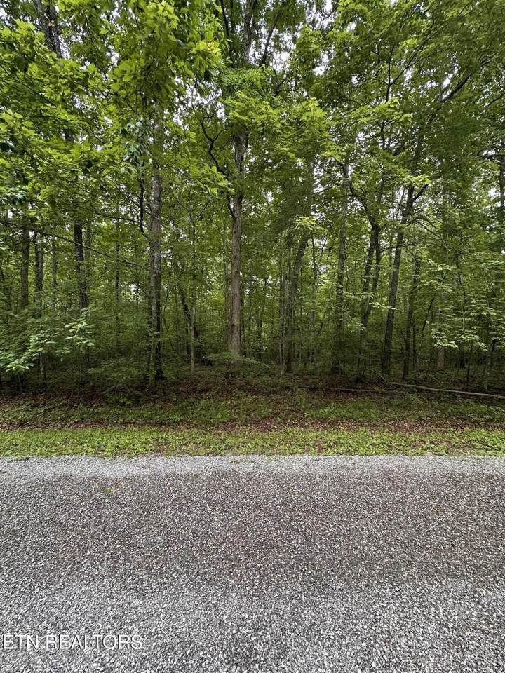 935 Veho Circle - Photo 1