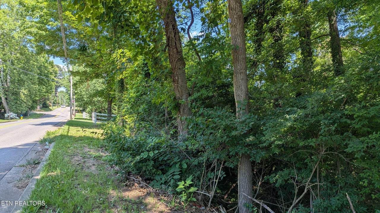  Lot 27 Cedar Lane - Photo 1