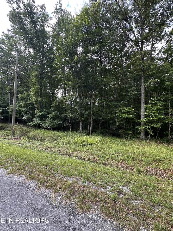 3031 Shawnee Rd - Photo 1