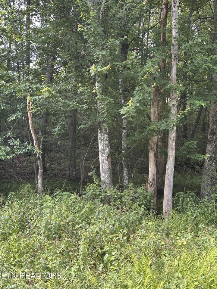 https://bt-photos.global.ssl.fastly.net/kaar/1280_boomver_1_1343695-2.jpg