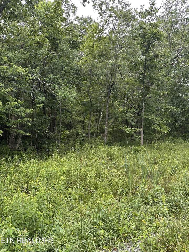 3119 Crow Drive - Photo 1