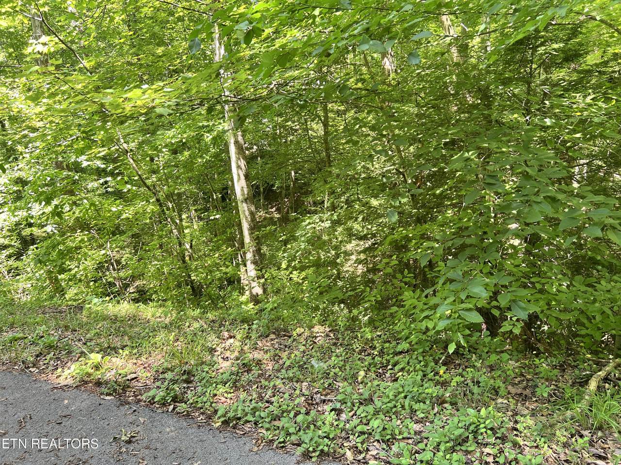  Fir Drive - Photo 1