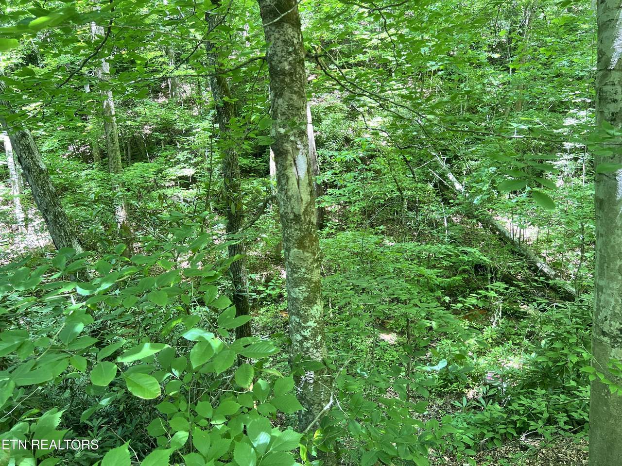 https://bt-photos.global.ssl.fastly.net/kaar/1280_boomver_1_1343745-2.jpg