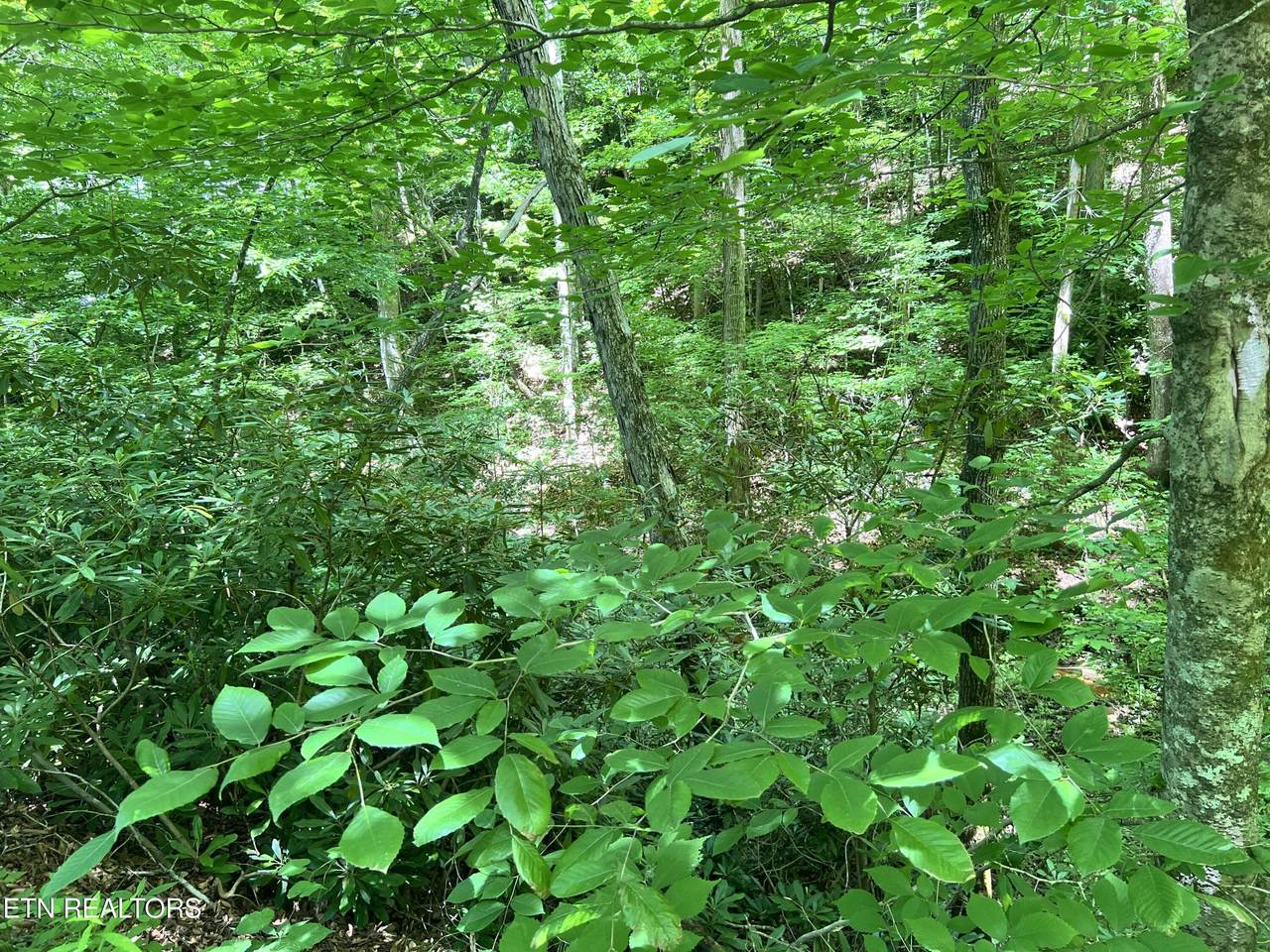 https://bt-photos.global.ssl.fastly.net/kaar/1280_boomver_1_1343745-2.jpg
