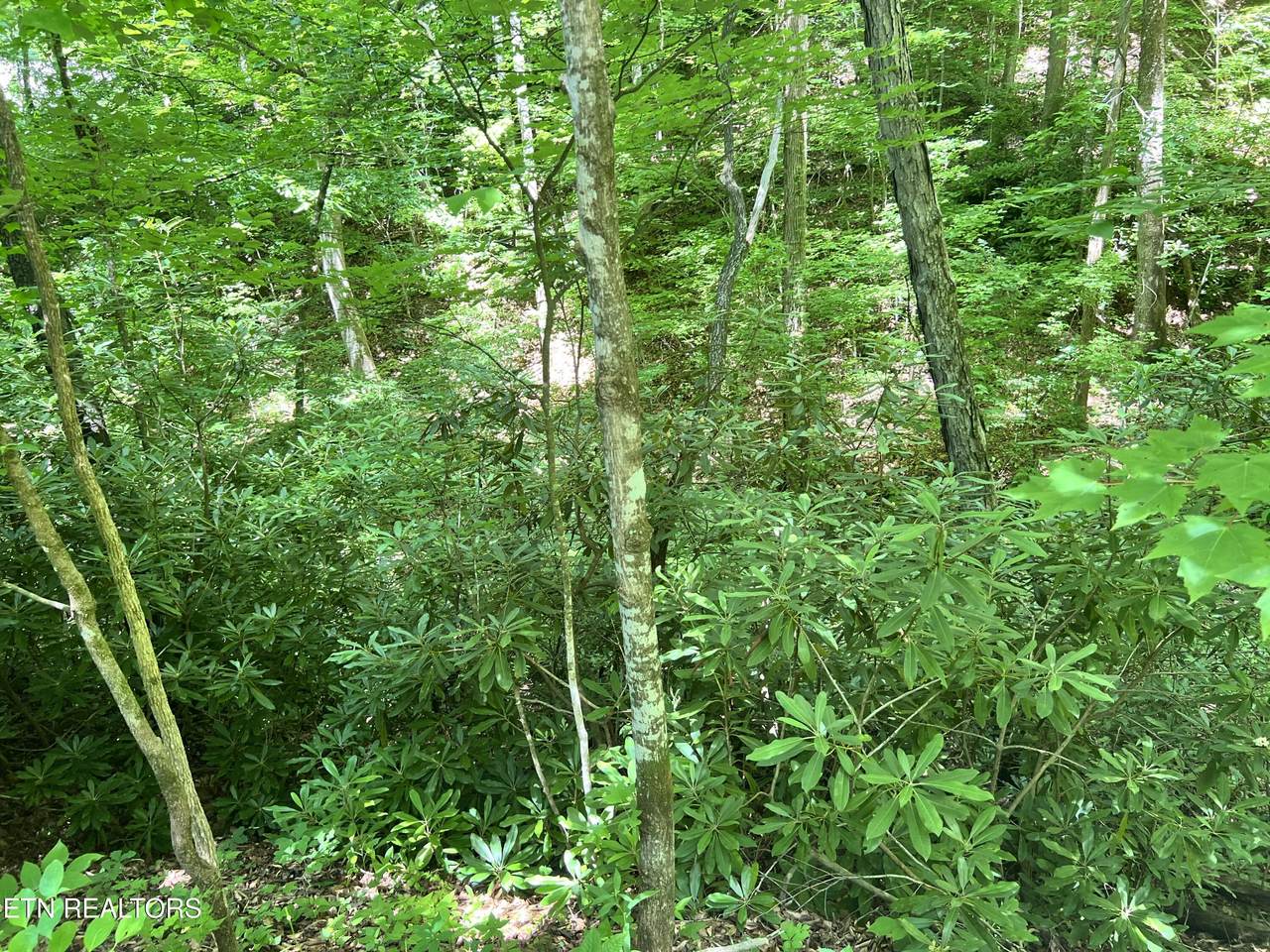 https://bt-photos.global.ssl.fastly.net/kaar/1280_boomver_1_1343745-2.jpg