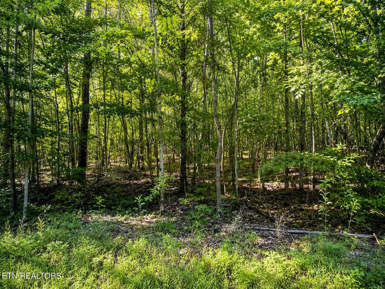 Lot 5 Keylon Hollow Road - Photo 1