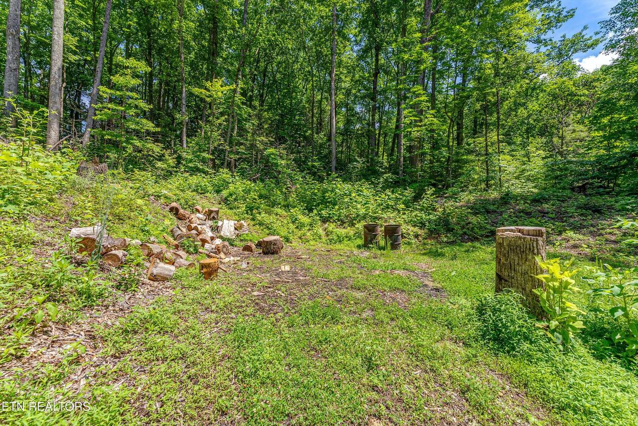 229 Sonshine Ridge Rd - Photo 1