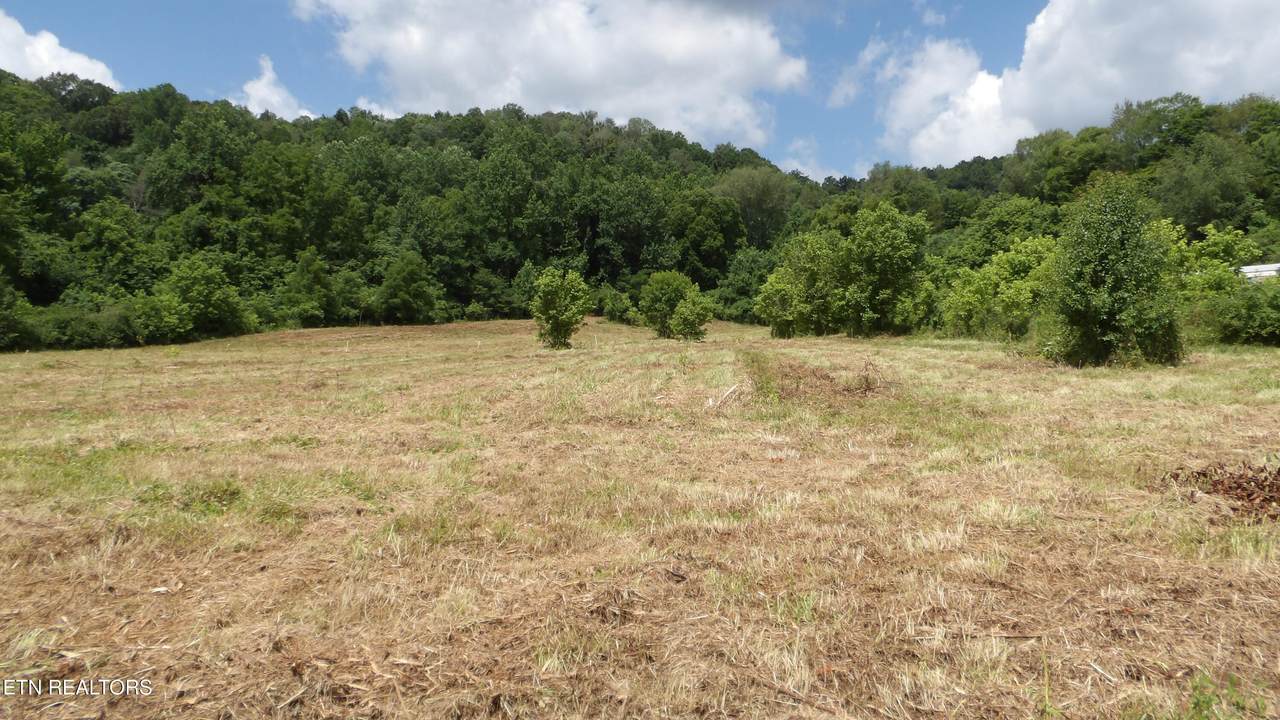 5.6 ac Lonnie Reecer Rd - Photo 1