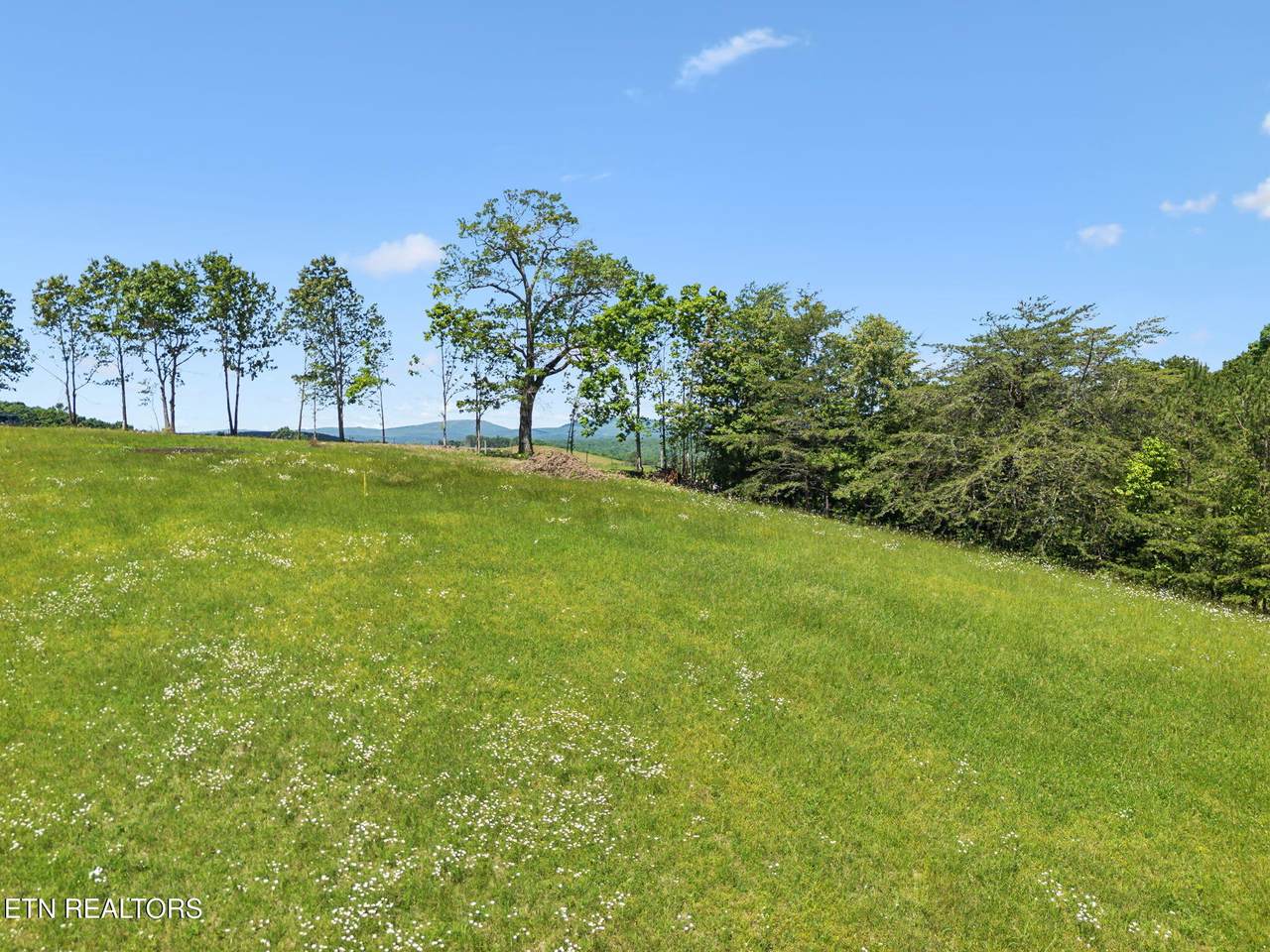 1460 Big Neck Rd - Photo 1
