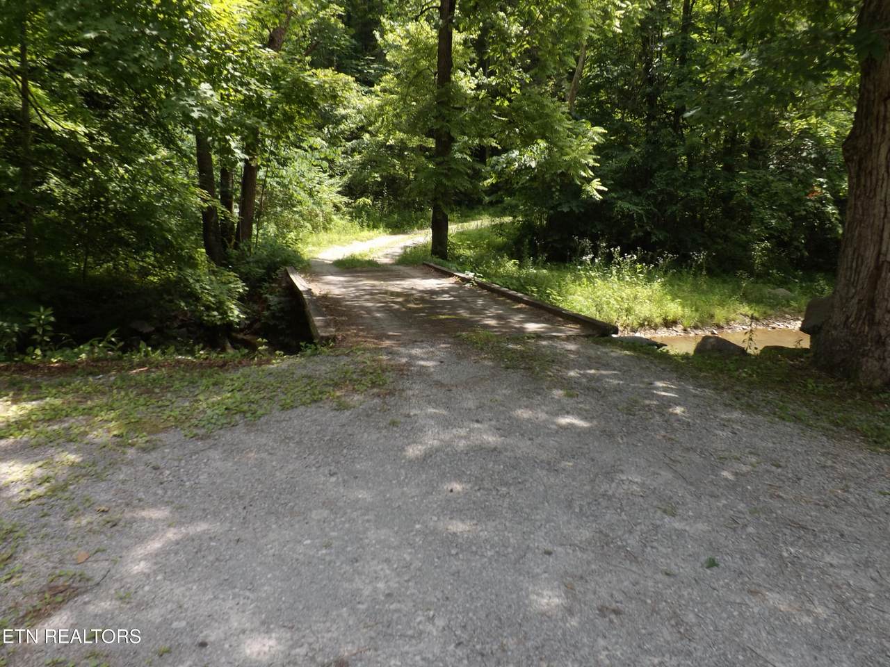 TBD Snake Hollow Rd - Photo 1