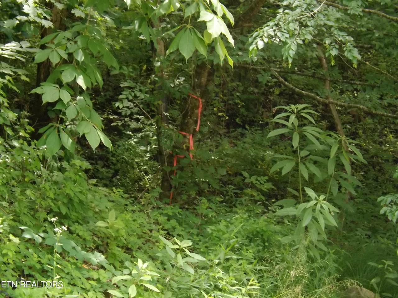 https://bt-photos.global.ssl.fastly.net/kaar/1280_boomver_1_1343994-2.jpg