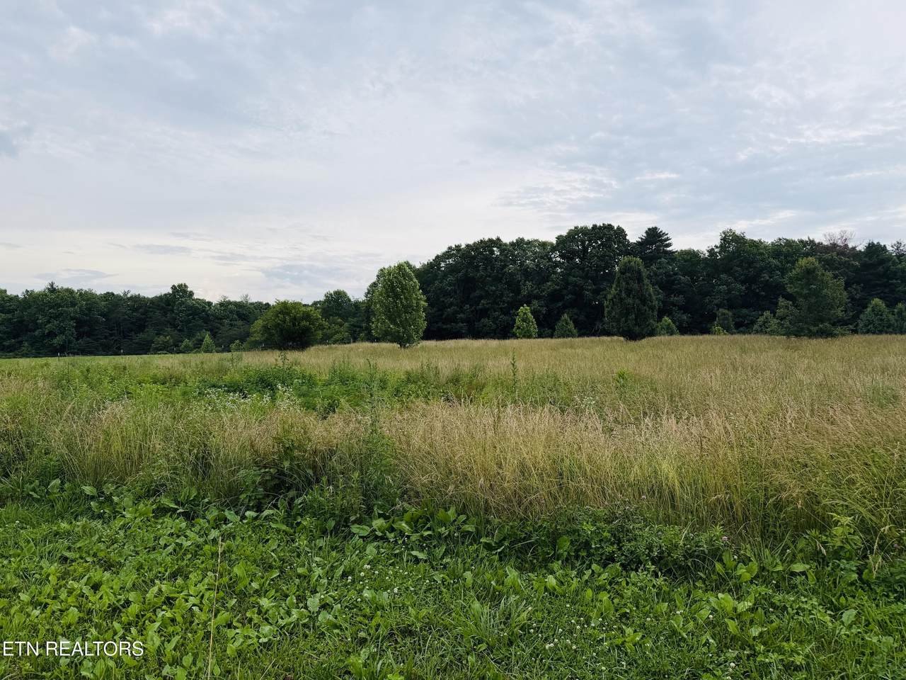 9.8 Acres Tyler Tr - Photo 1
