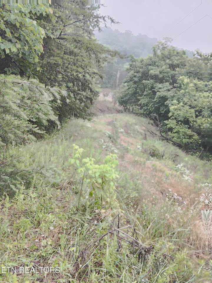 2595 Highway 31 - Photo 1
