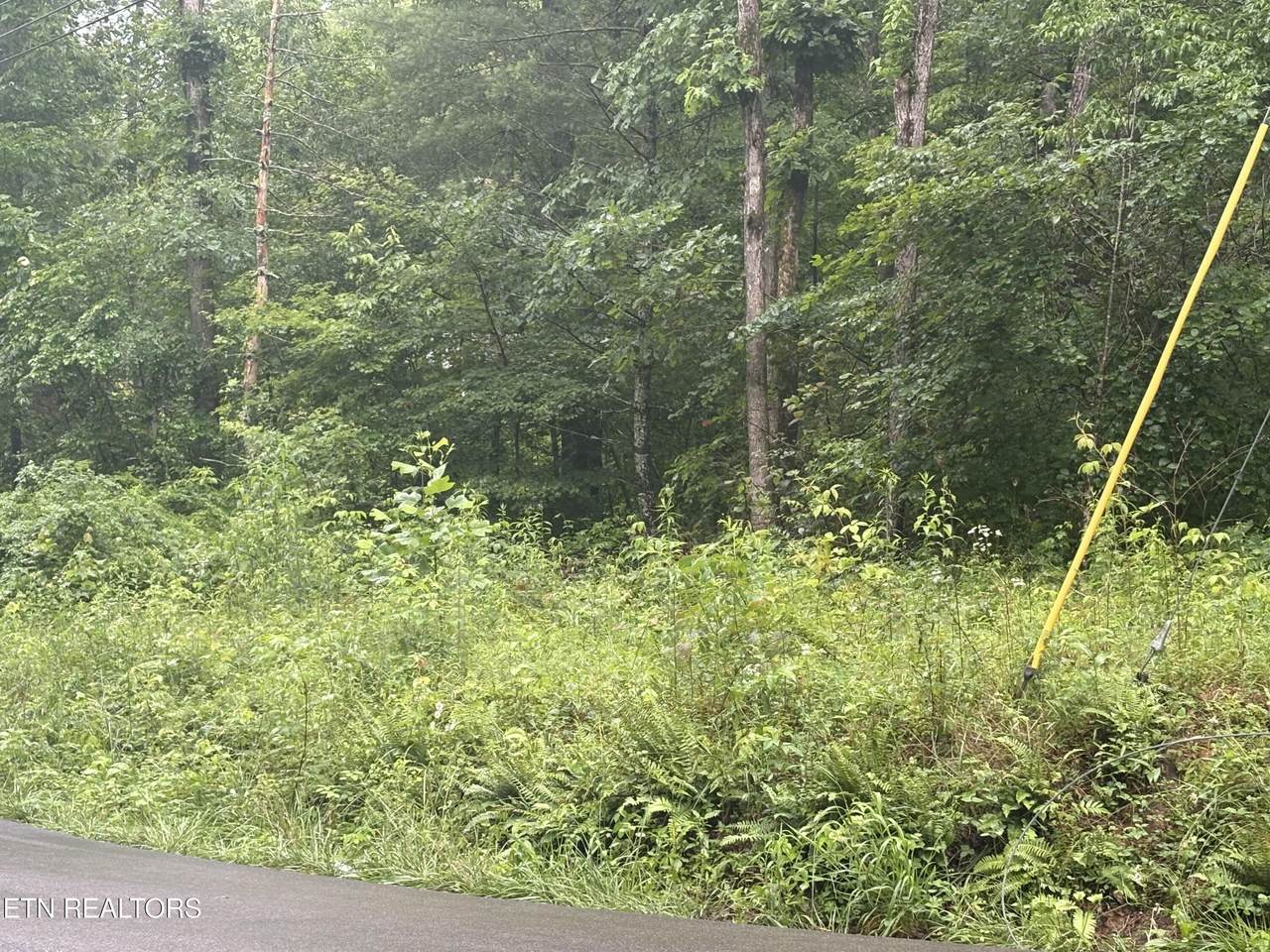  Brown Creek Drive - Photo 1