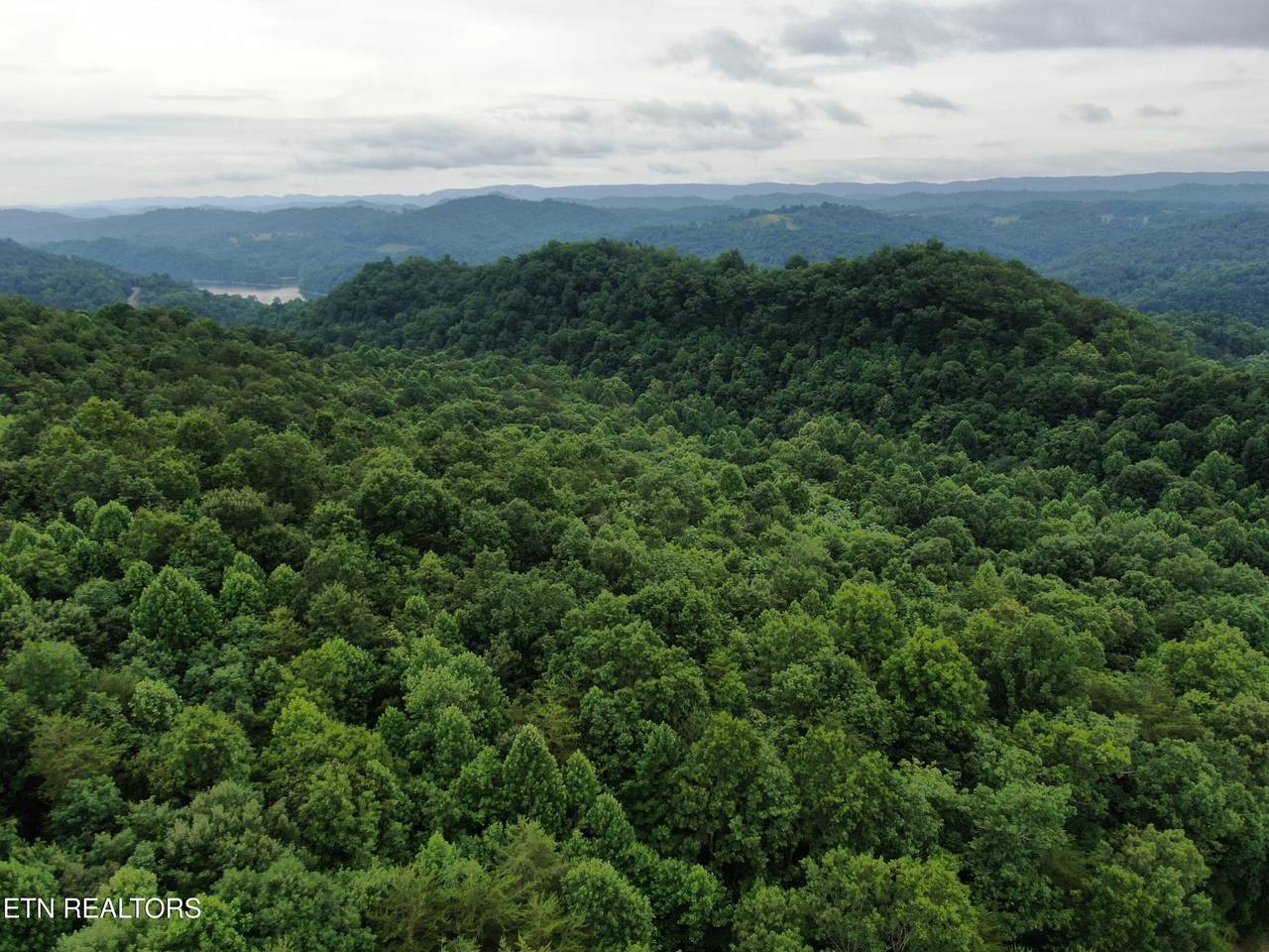 171 Bluff View Rd - Photo 1