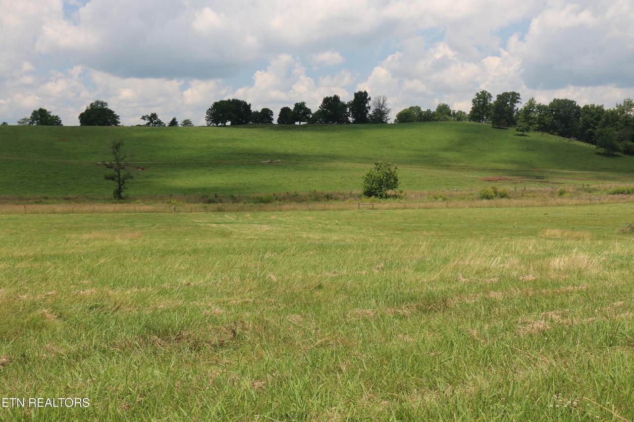 Lot 4R County Road 461 - Photo 1