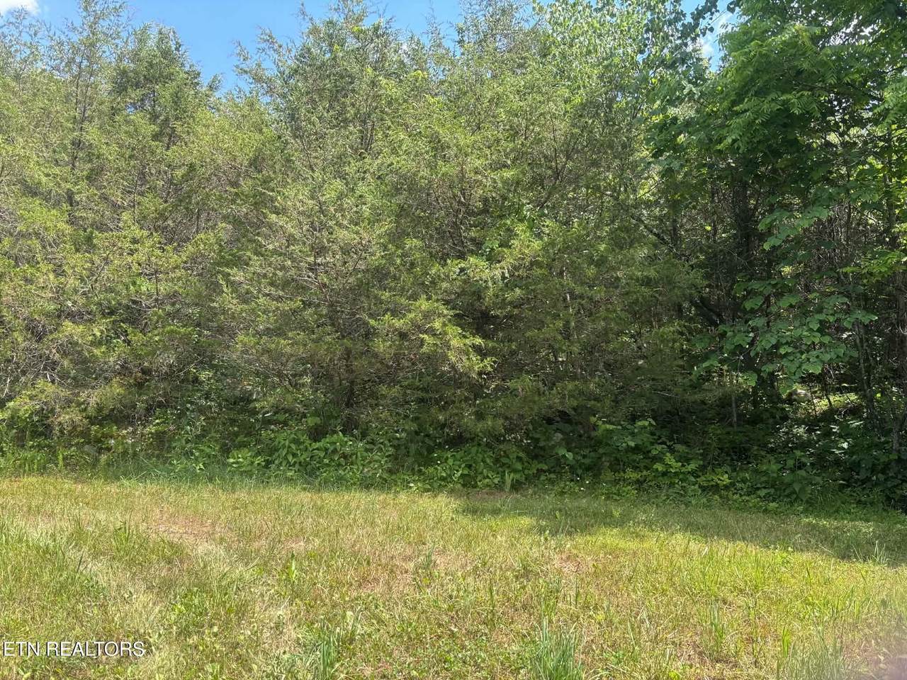 00 Mulberry Gap Rd Rd - Photo 1